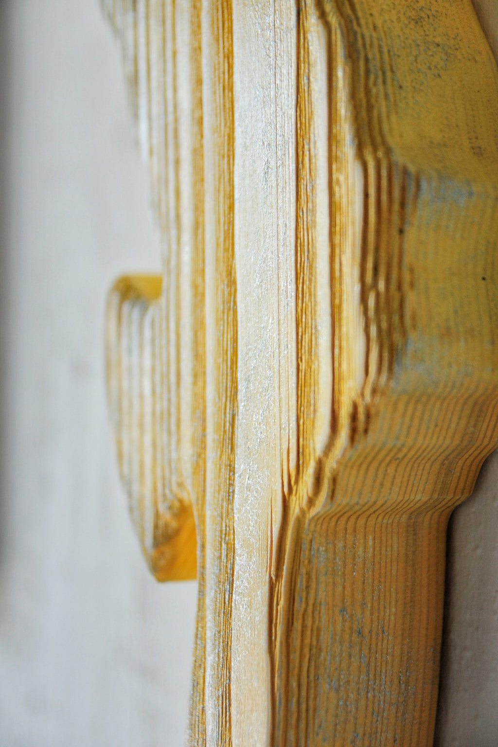 Sarı Denizatı - 60 cm